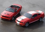 Shelby Cobra GT500 Show Car